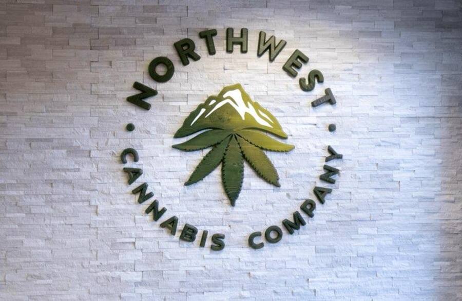 Northwest Cannabis Company logo wall inside the store